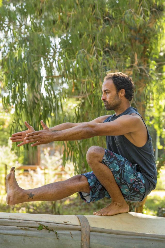 Bermuda No Gender Monte